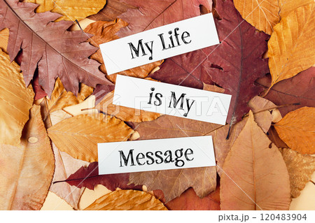 The image is a collage of autumn leaves with the words My life is my message 120483904