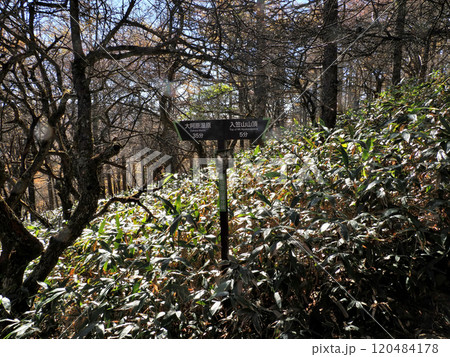 【山の標識】長野県・入笠山・首切登山道分岐（2024年） 120484178