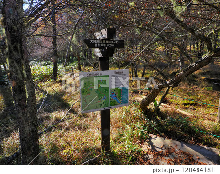 【山の標識】長野県・入笠山ガイド・大阿原湿原（2024年） 120484181