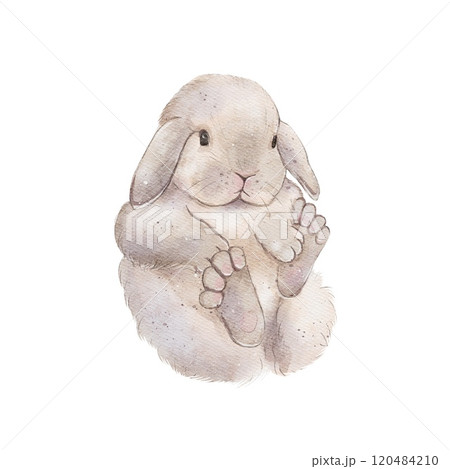 Chubby, fluffy rabbits, hares. Watercolor illustration Chubby, fluffy rabbits, hares. Watercolor illustration 120484210
