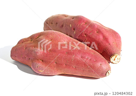 さつまいも（紅こがね） 120484302