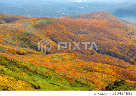 宮城県岩手県秋田県の三県にまたがる栗駒山　頂上から望む斜面一面の鮮やかな紅葉の景色 120484682