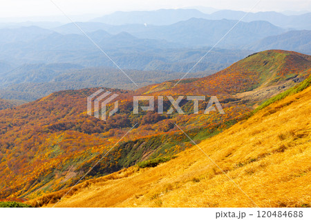 宮城県岩手県秋田県の三県にまたがる栗駒山　頂上から望む斜面一面の鮮やかな紅葉の景色 120484688