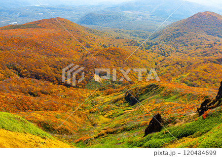 宮城県岩手県秋田県の三県にまたがる栗駒山　頂上から望む斜面一面の鮮やかな紅葉の景色 120484699