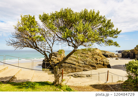 Ocean at low tide. Cathedrals Beach in Galicia Spain. Ocean at low tide. Cathedrals Beach in Galicia Spain. 120484729