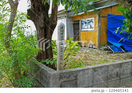 イリオモテヤマネコ発見捕獲の地　沖縄　西表島　船浮 120485141