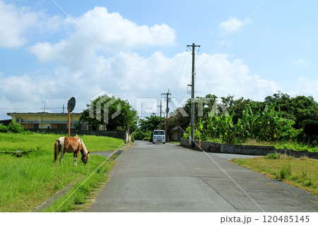 沖縄　西表島の風景 120485145