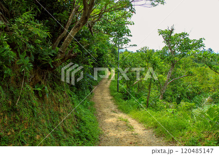 沖縄　西表島　奥西表　船浮集落の風景　秘境 120485147