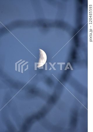 光を浴びて輝く月 120485593