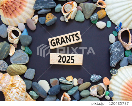Planning grants 2025 new year symbol. Concept words Grants 2025 on beautiful wooden blocks. Beautiful black background. Beautiful sea stones shell. Business grants 2025 new year concept. Copy space. Planning grants 2025 new year symbol. Concept words Grants 2025 on beautiful wooden blocks. Beautiful black background. Beautiful sea stones shell. Business grants 2025 new year concept. Copy space. 120485787