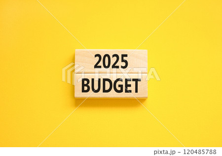 Planning 2025 budget new year symbol. Concept words 2025 Budget on beautiful wooden blocks. Beautiful yellow background. Business 2025 budget new year concept. Copy space. 120485788