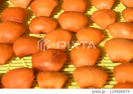 伊勢　蓮台寺柿 120486074