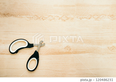 猫用爪切り ペット用爪切り 猫用爪切り ペット用爪切り 120486231