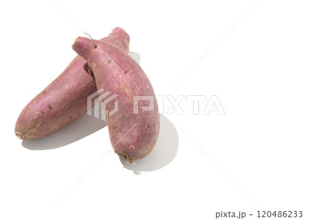 さつまいもを白背景で撮影 120486233