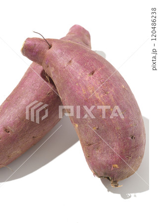 さつまいもを白背景で撮影 120486238