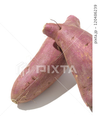 さつまいもを白背景で撮影 120486239