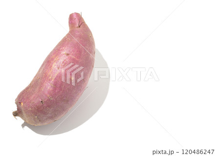 さつまいもを白背景で撮影 さつまいもを白背景で撮影 120486247
