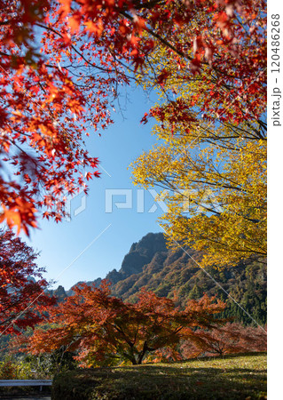 秋の妙義山　妙義山パノラマパークの紅葉 120486268