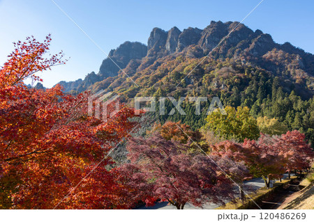 秋の妙義山　妙義山パノラマパークの紅葉 120486269