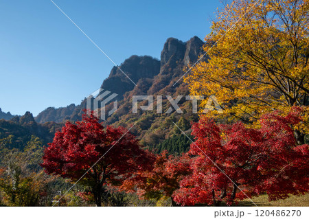 秋の妙義山　妙義山パノラマパークの紅葉 120486270
