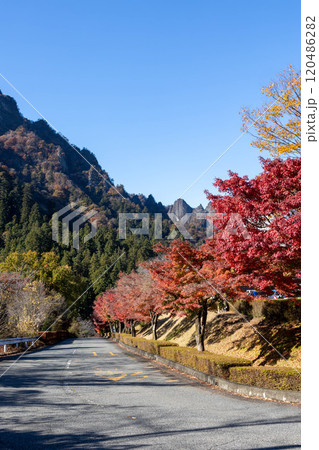秋の妙義山　妙義山パノラマパークの紅葉 120486282