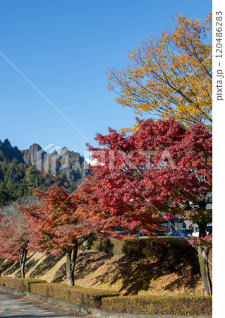 秋の妙義山　妙義山パノラマパークの紅葉 120486283