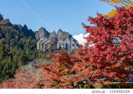 秋の妙義山 妙義山パノラマパークの紅葉 秋の妙義山 妙義山パノラマパークの紅葉 120486284