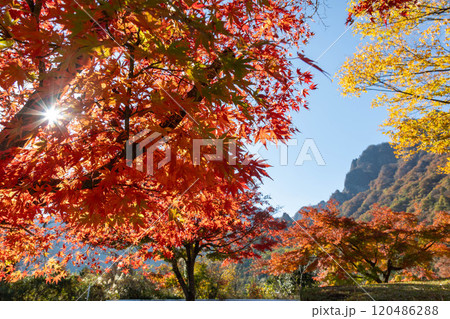 秋の妙義山　妙義山パノラマパークの紅葉 120486288