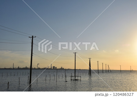 夕暮れの久津間の海中電柱 千葉 夕暮れの久津間の海中電柱 千葉 120486327