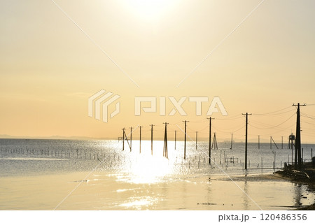 夕暮れの久津間の海中電柱 千葉 夕暮れの久津間の海中電柱 千葉 120486356