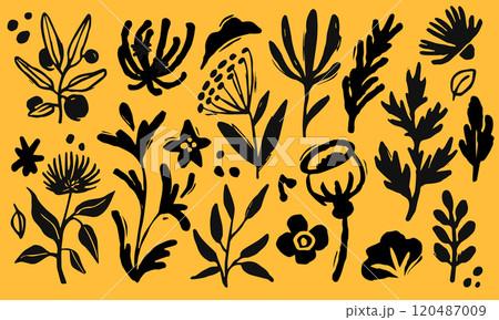 Flower, leaf hand drawn abstract isolated decorative elements. Line plant, art print, handmade sketch. Outline with paint, nature pattern. Retro grunge, brush decorative. Vector doodle background 120487009