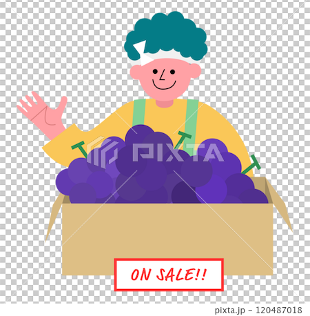 段ボールに入ったブドウを販売する八百屋の男性のイラスト 120487018