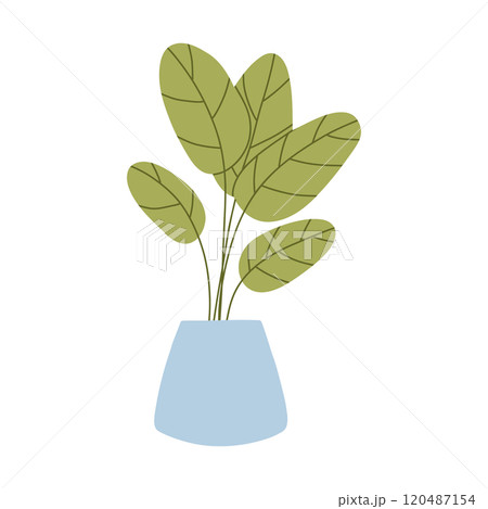 Houseplant in a pot. Home plant palm flowers in pots isolated on white background. Vector illustration. Flat style. Decorative plants for the home. 120487154