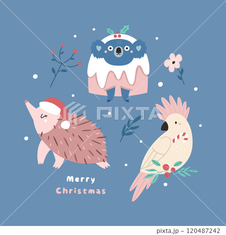 Australian Christmas Greeting Card with Echidna, Koala, Cockatoo Characters 120487242