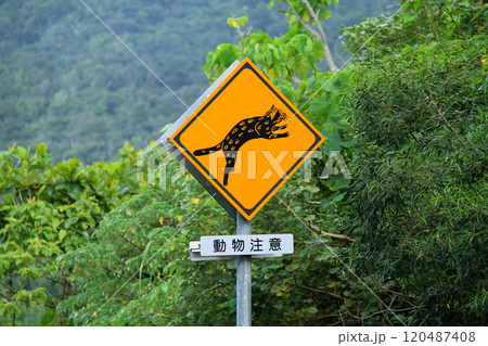 沖縄　西表島の風景　イリオモテヤマネコ飛び出し注意 120487408