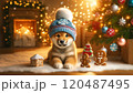 暖かいクリスマスを楽しむ柴犬 120487495