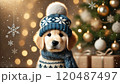 クリスマスを楽しむ犬ゴールデンレトリバー 120487497