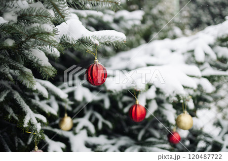 Happy New Year Christmas tree decorates with yellow red glass ball on branch snow outdoors for family winter holiday. Festival mood  120487722