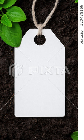 Blank tag on soil with green leaves, perfect for labeling plants or gardening. 120488166