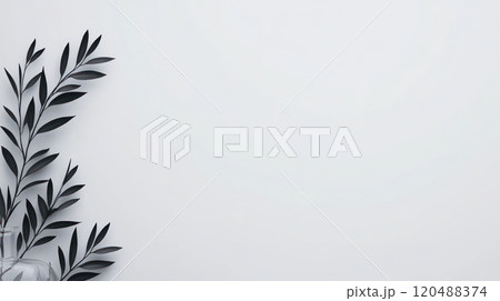 Leafy plant arrangement on a clean, white background. 120488374