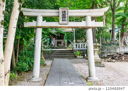 二之宮浅間神社（三嶋大社八所別宮）鳥居　静岡県三島市芝本町 120488847