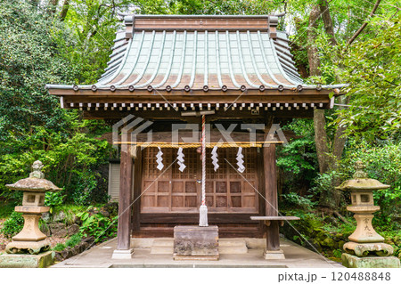 芝岡神社（世古本陣の屋敷神社から芝町の氏神）　本殿　静岡県三島市芝本町 120488848