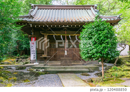 二之宮浅間神社（三嶋大社八所別宮）本殿　静岡県三島市芝本町 120488850