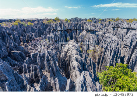 Majestic Tsingy de Bemaraha Cliffs, Madagascar. Majestic Tsingy de Bemaraha Cliffs, Madagascar. 120488972