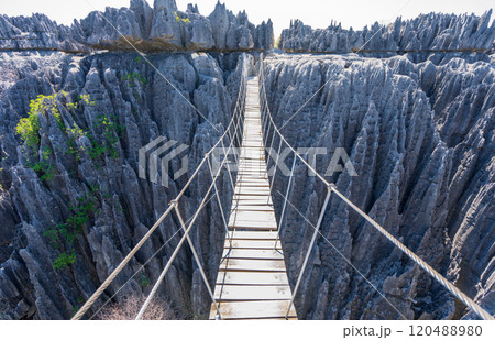 Precarious Wooden Bridge Over Tsingy de Bemaraha Cliffs, Madagascar. 120488980