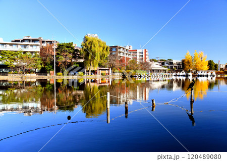 都立 石神井公園(東京都練馬区)【2024.11】 都立 石神井公園(東京都練馬区)【2024.11】 120489080