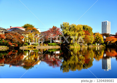 都立 石神井公園(東京都練馬区)【2024.11】 120489081