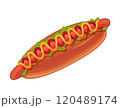 ホットドッグのイラスト 120489174