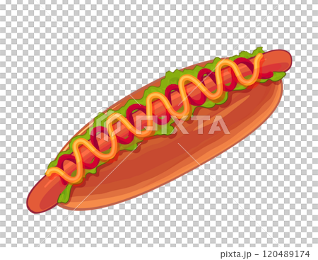 Hot dog illustration 120489174