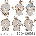 灰色うさちゃんセット２ 120489561